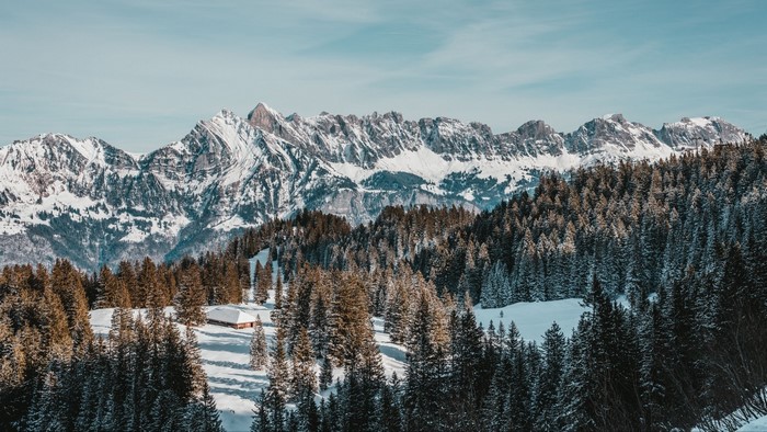 Snowy mountains and forest with a cabin