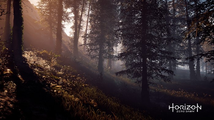 Horizon Zero Dawn forest scene
