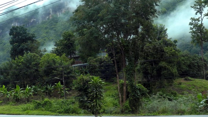 Misty Mountains and Jungle in Thailand