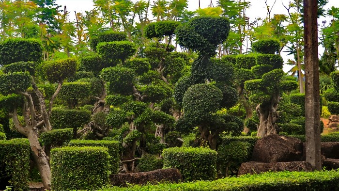 Topiary garden in Thailand