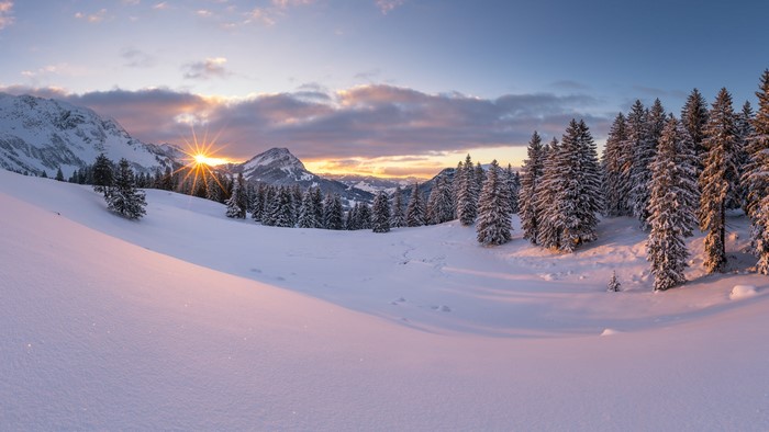 Sunrise over snowy mountains and pine forest in Switzerland