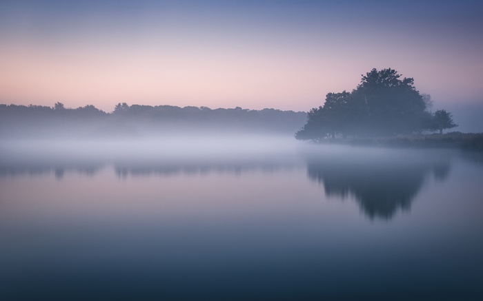 Misty lake with trees reflecting at sunrise