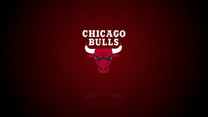 Chicago Bulls logo