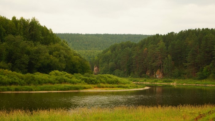 River flowing through a forest valley