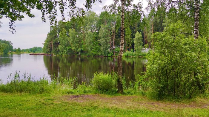 Lake surrounded by trees with a wooden dock