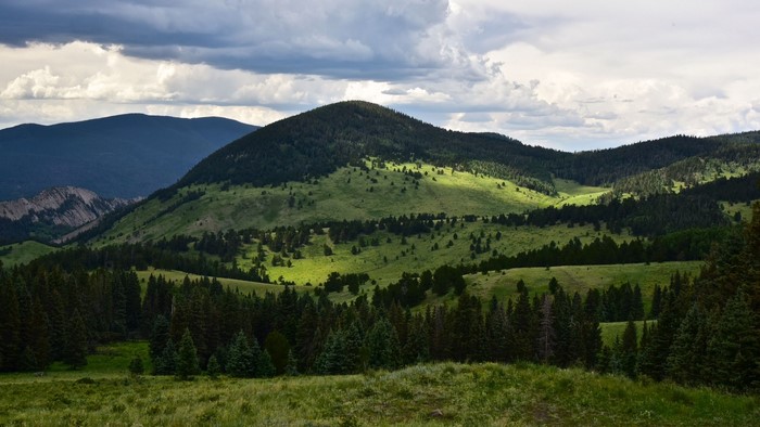 Rolling green hills with scattered trees and dramatic clouds