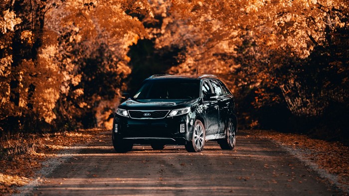 Black Kia Sorento on a road in autumn