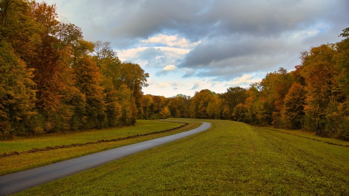 Curving road through autumn forest under cloudy sky