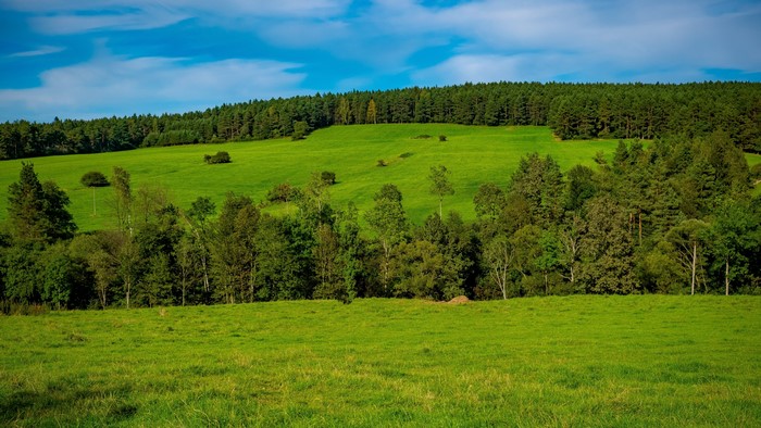 4K Nature Landscape