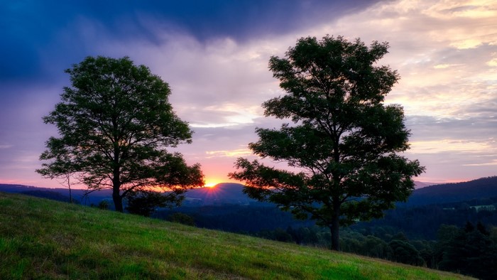 Sunset over rolling hills with two trees
