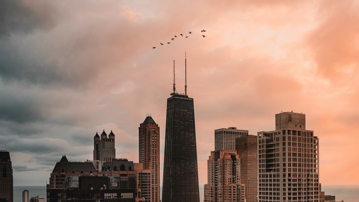 Chicago skyscrapers with birds flying at sunset