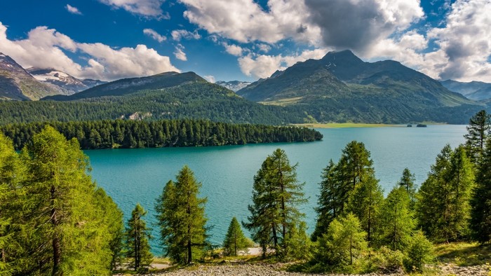 Turquoise lake surrounded by pine forest and mountains