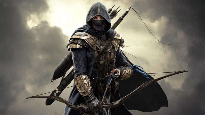 Assassin with bow and arrows