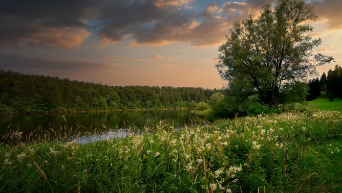 4K Nature Landscape with Lake and Trees