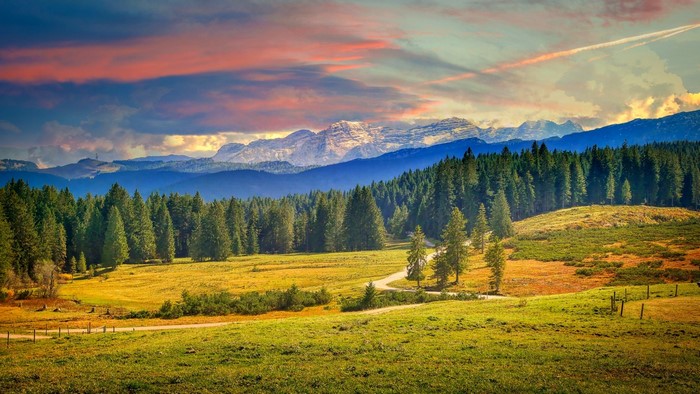 Mountain range with pine forest and meadow