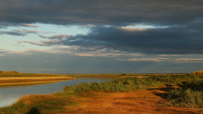 River and marshland under cloudy sky