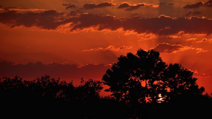 Sunset with clouds and trees