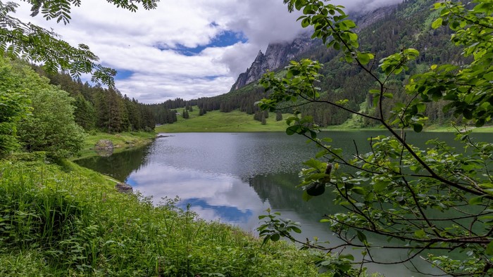 Lake and Mountains with Forest and Greenery