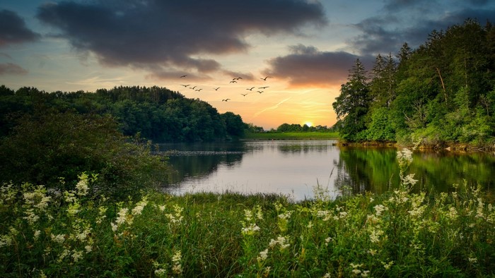 Birds flying over a lake at sunset