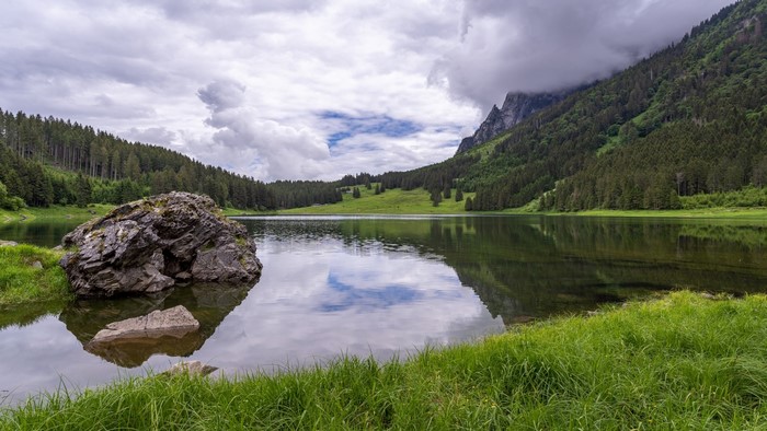 Lake with Mountains and Forest