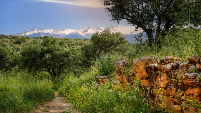 Dirt path through green landscape with snow-capped mountains