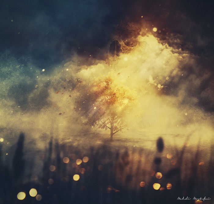 Tree in a fiery, smoky landscape with bokeh