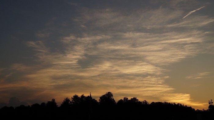 Sunset over a silhouetted forest