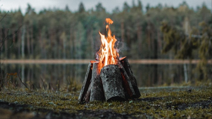 Bonfire made of logs in a forest by a lake