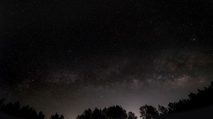 Starry night sky over silhouetted trees