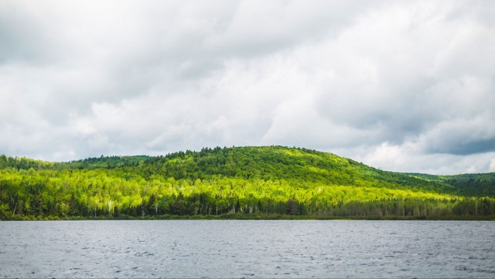 Green forested hill overlooking a lake under cloudy sky