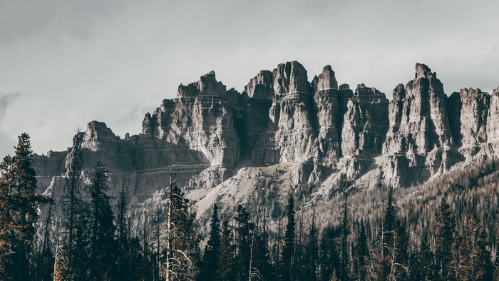 Jagged mountain range with pine forest