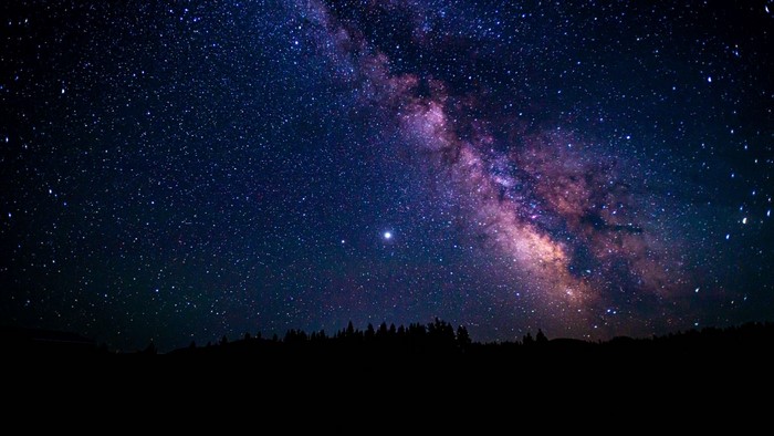 Milky Way galaxy over a silhouetted forest