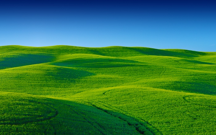 Rolling green hills under a clear blue sky