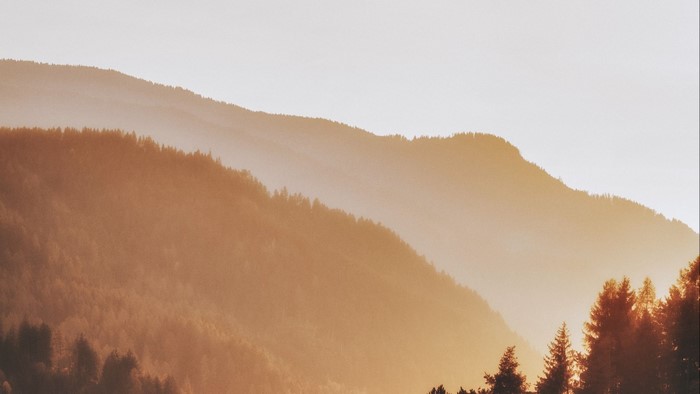 Hills with trees at sunset