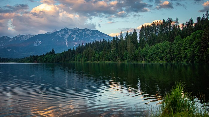 4K Nature Landscape