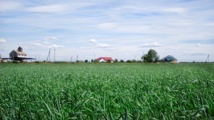 4K Field with Houses and Sky