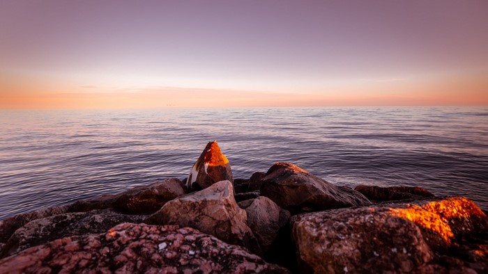 Rocks on a beach at sunset