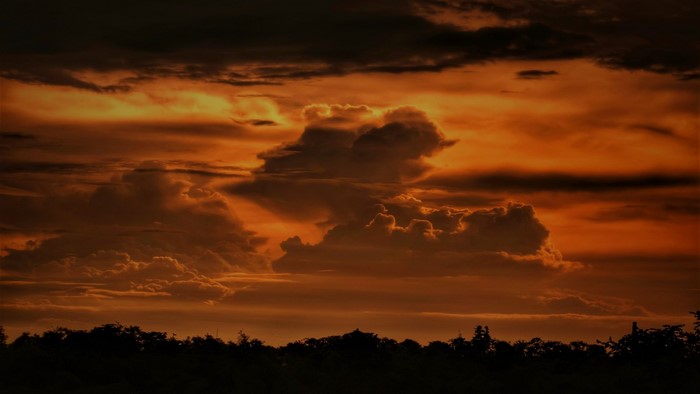 Sunset clouds over silhouetted trees