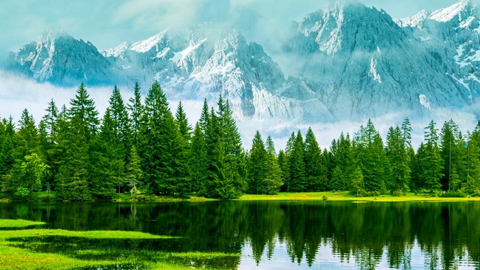 4K Nature Scene with Mountain and Forest