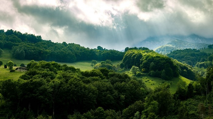 Sunlight filtering through clouds over a green forest and mountains
