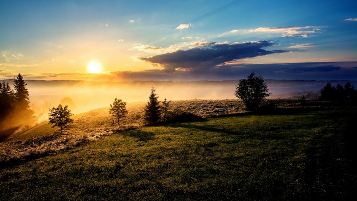 Sunrise over a misty valley with trees