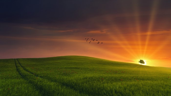 4K Sunset Over Rolling Green Hills with Birds