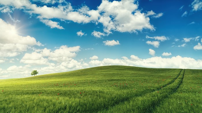 4K Nature Landscape