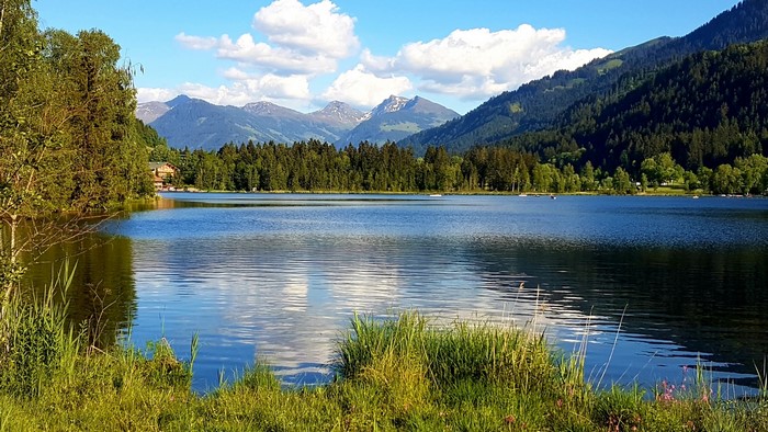 Lake with mountains and forest
