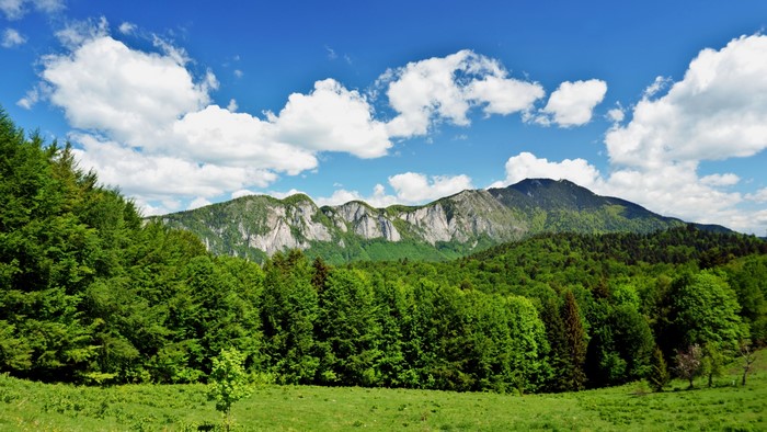 4K Nature Landscape