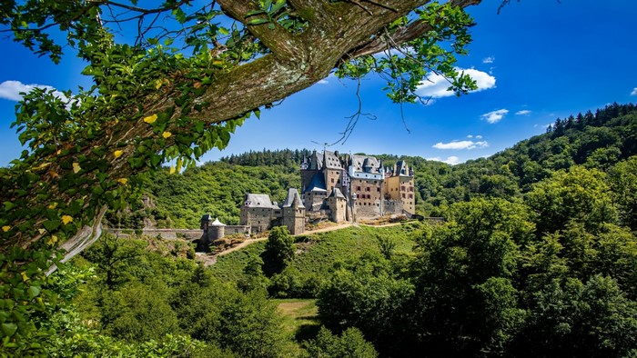 Eltz Castle in a Forest Landscape
