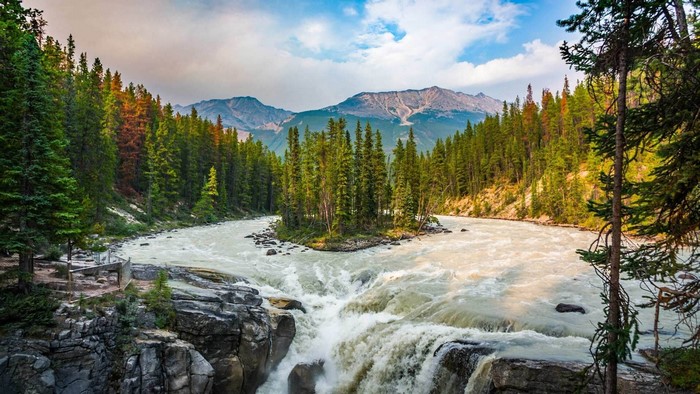 Athabasca Falls in the Canadian Rockies