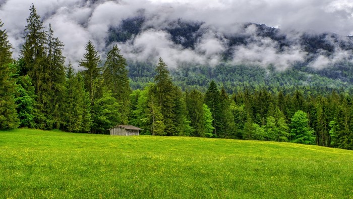 Wooden cabin in a green meadow with a forest and mountains