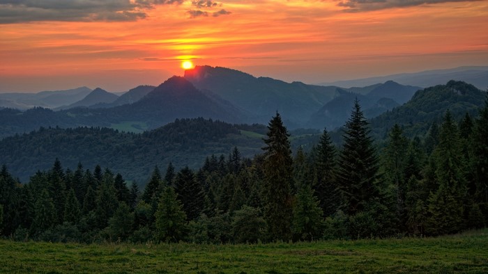 Sunset over mountains and forest