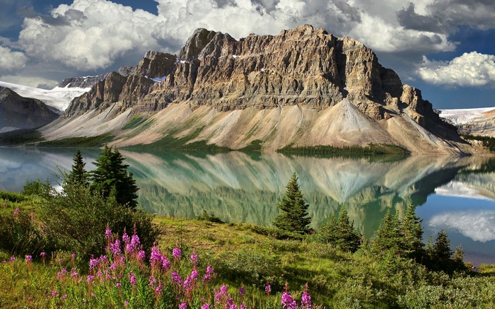 Mountain reflected in a lake with wildflowers